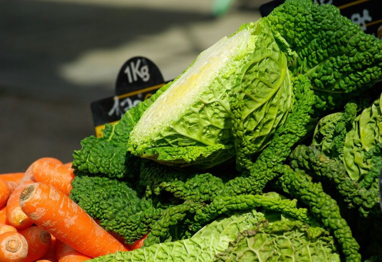 The Nutritional Value of Cabbage