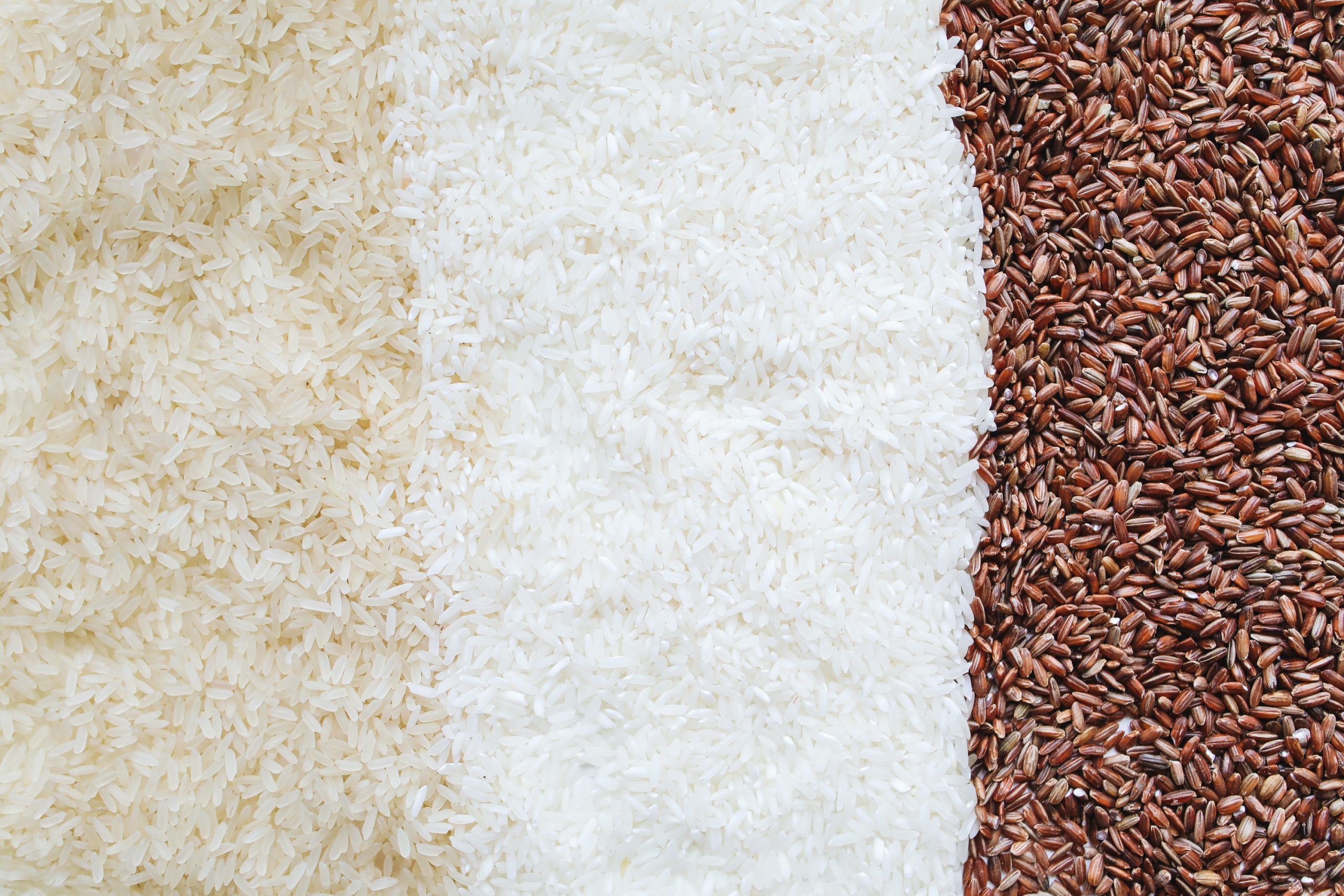 Instant Rice Vs Regular Rice