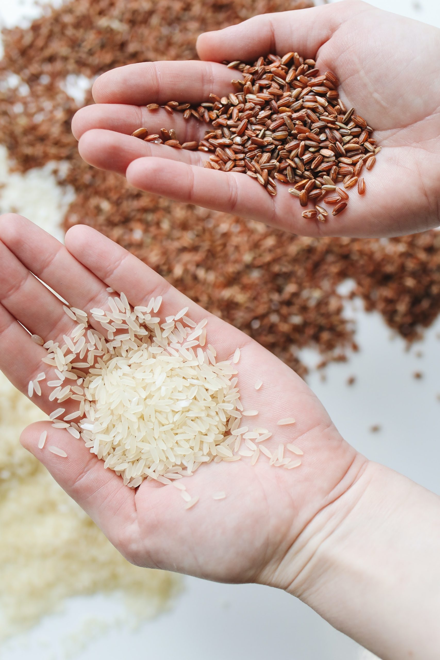 instant rice vs regular rice