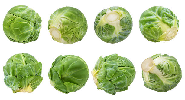 Cruciferous Vegetables