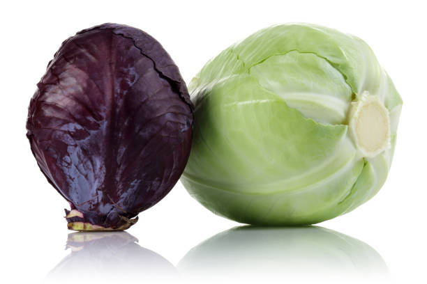 Green vs Purple Cabbage