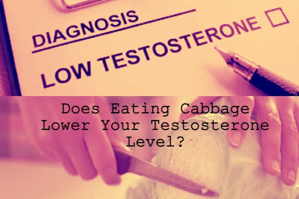 Does Eating Cabbage Lower Your Testosterone Level? Exposed