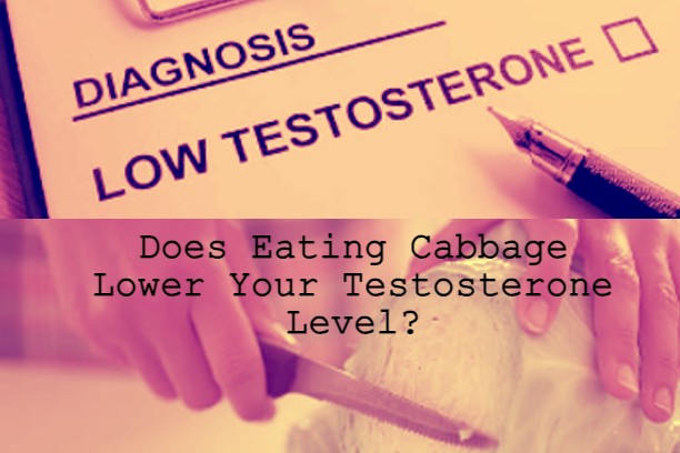 Does Eating Cabbage Lower Your Testosterone Level?