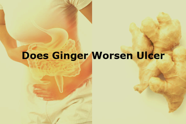 Does Ginger Worsen Ulcer?