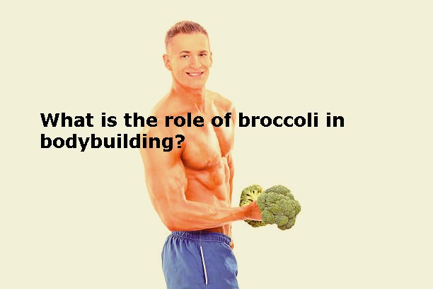 What is the role of broccoli in bodybuilding?