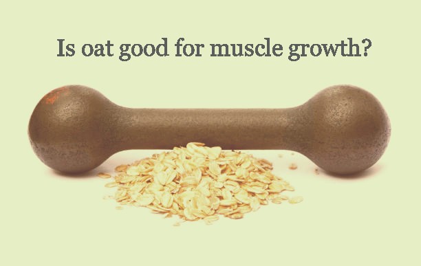Is oat good for muscle growth?