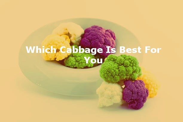 Which Cabbage Is Best For You? Let’s Find Out